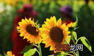暖心文字控说说 暖心文字控说说有哪些