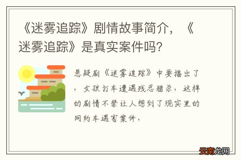 《迷雾追踪》剧情故事简介，《迷雾追踪》是真实案件吗？