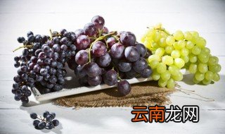 葡萄什么时候种 葡萄什么时候种植成活率高
