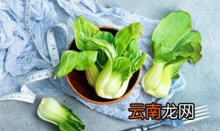 五月蔓油菜什么时候种 油菜什么时候种