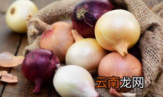 洋葱种子什么时候种 洋葱种子什么时候种植最好