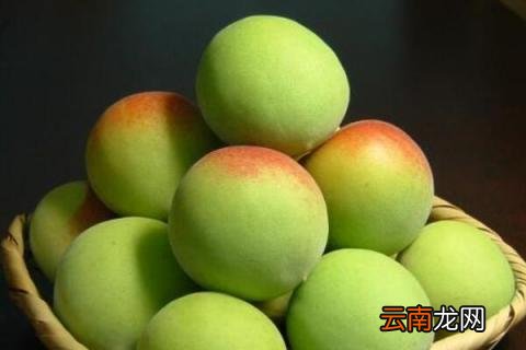 酸梅有几种