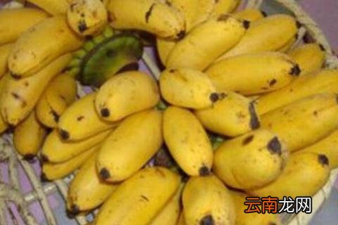 米蕉是凉性的吗