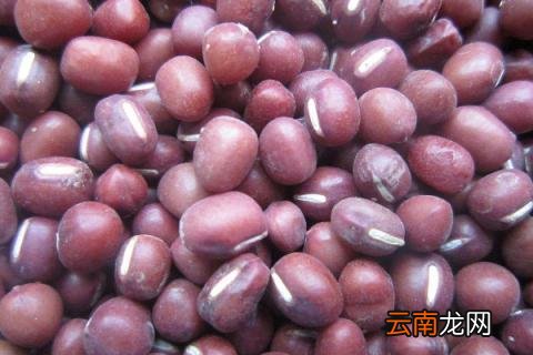红小豆什么时候种