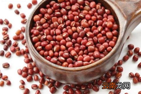 红小豆什么时候种