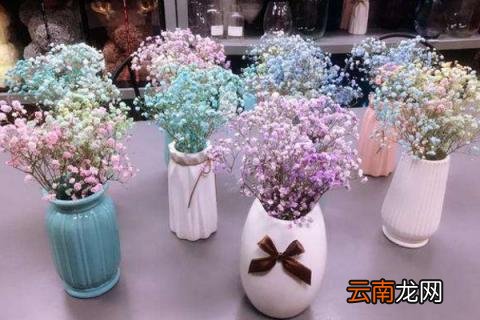 满天星要插在水里吗