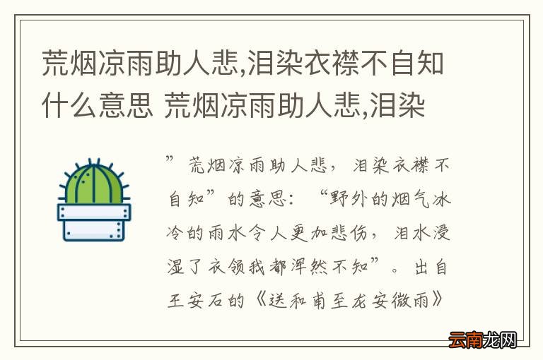 荒烟凉雨助人悲,泪染衣襟不自知什么意思 荒烟凉雨助人悲,泪染衣襟不自知出自哪里