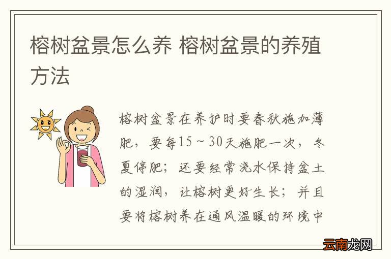 榕树盆景怎么养 榕树盆景的养殖方法