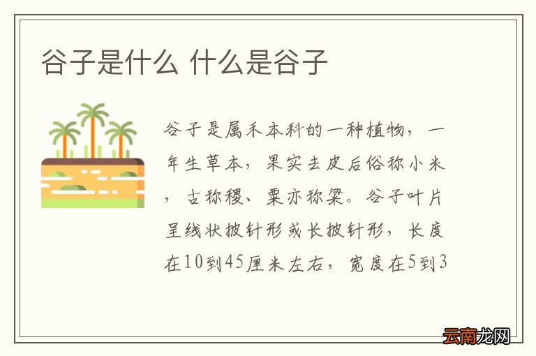 谷子是什么 什么是谷子