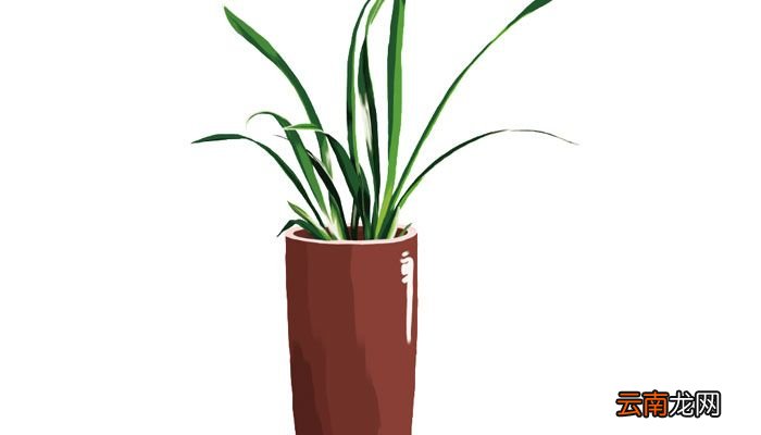 描写植物的现代诗简短 关于植物的现代小诗