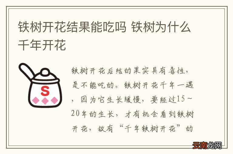 铁树开花结果能吃吗 铁树为什么千年开花
