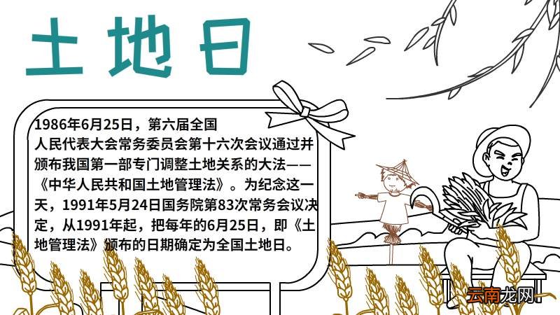 土地日手抄报图片 土地日手抄报步骤