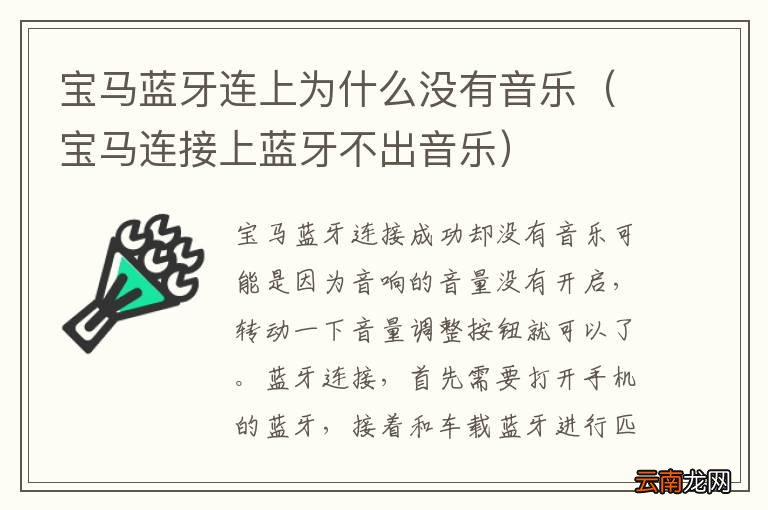 宝马连接上蓝牙不出音乐 宝马蓝牙连上为什么没有音乐