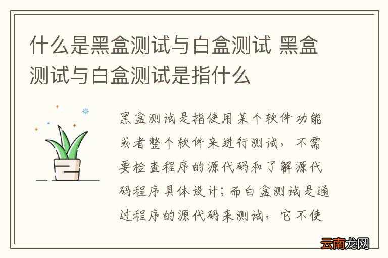 什么是黑盒测试与白盒测试 黑盒测试与白盒测试是指什么