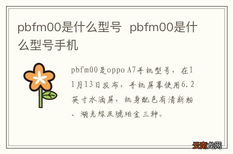 pbfm00是什么型号pbfm00是什么型号手机