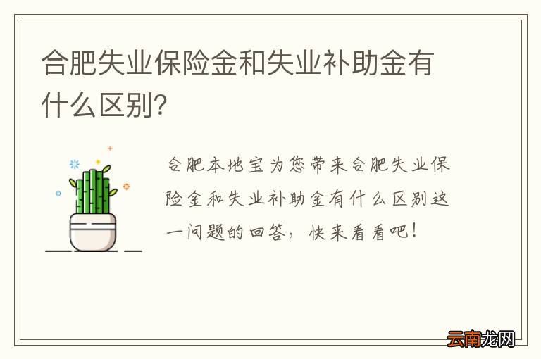 合肥失业保险金和失业补助金有什么区别？