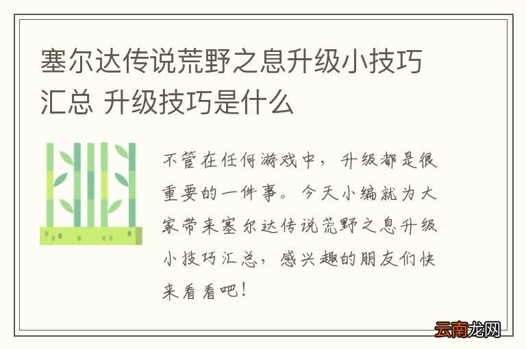 塞尔达传说荒野之息升级小技巧汇总 升级技巧是什么