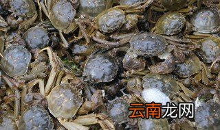 毛蟹怎么保存不会死 毛蟹如何保存不会死