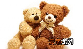 毛绒玩具怎么清洗 如何简单清洗毛绒玩具