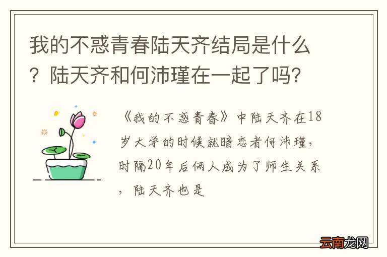 我的不惑青春陆天齐结局是什么？陆天齐和何沛瑾在一起了吗？