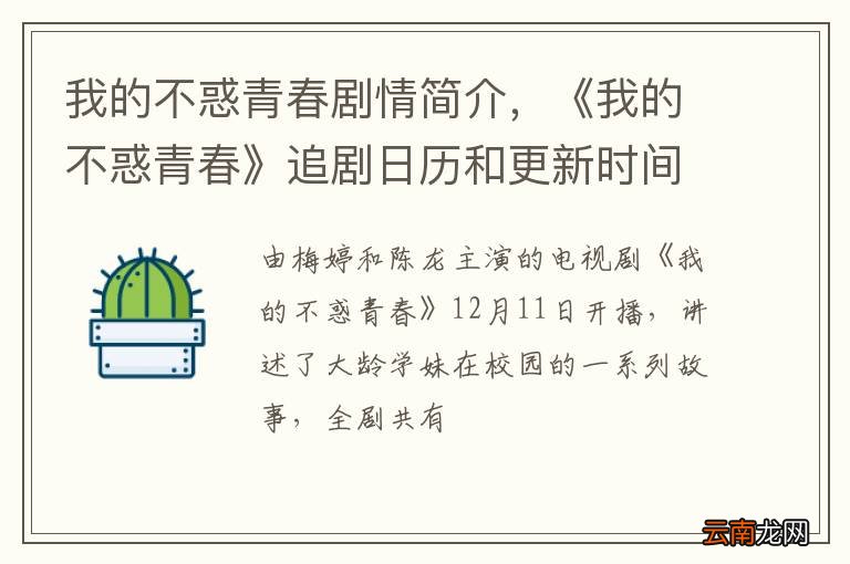 我的不惑青春剧情简介，《我的不惑青春》追剧日历和更新时间表