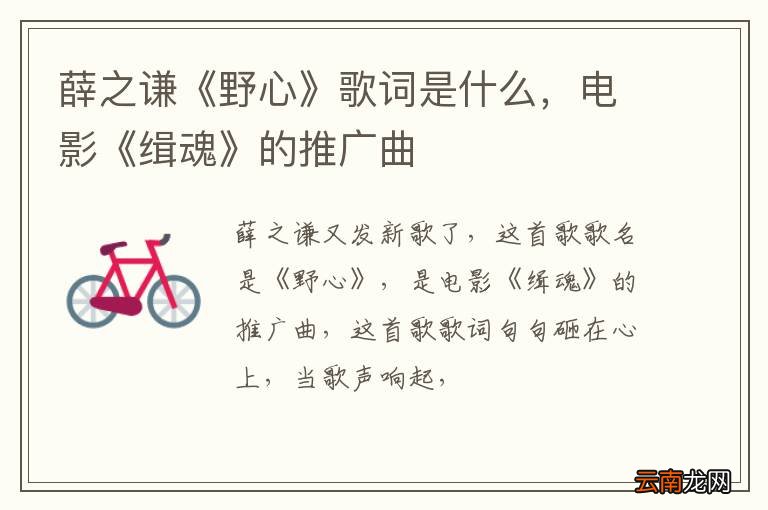 薛之谦《野心》歌词是什么，电影《缉魂》的推广曲