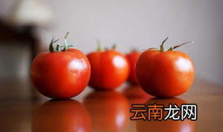 什么时候种西红柿 什么时候种西红柿是最好的时候