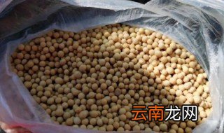 东北什么时候种黄豆，东北地区什么时候种黄豆