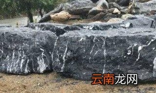 石材养殖环节注意事项 石斛养殖注意事项