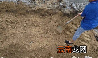 回填砂石上栽种树木注意事项 植树回填土
