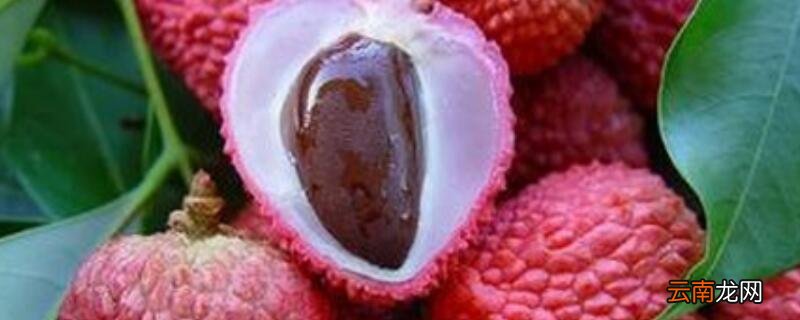 荔枝核可以种吗