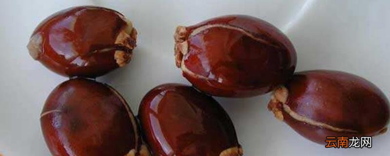 荔枝子怎么发芽