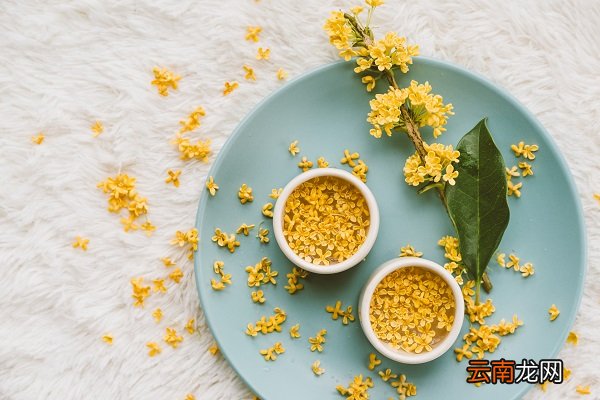 花茶的功效与作用 花茶的功效与作用禁忌