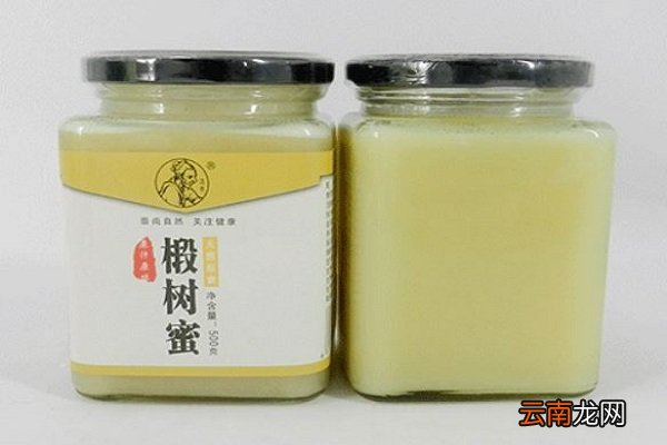 椴树蜂蜜的功效与作用 椴树蜂蜜的功效与作用点