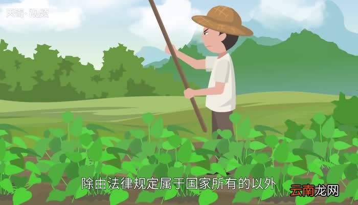 土地性质分类土地性质分为哪几类