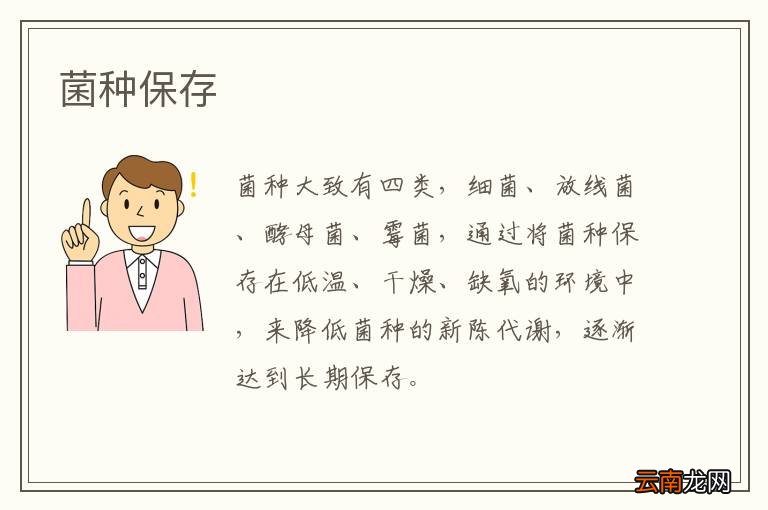 菌种保存