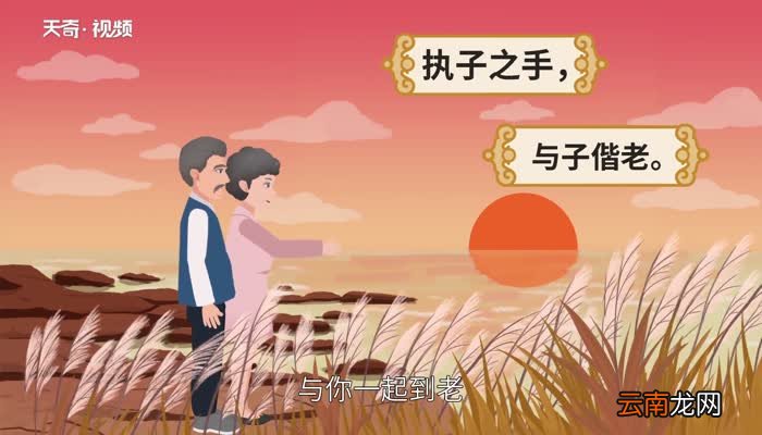 执子之手与子偕老是什么意思 执子之手与子偕老的意思