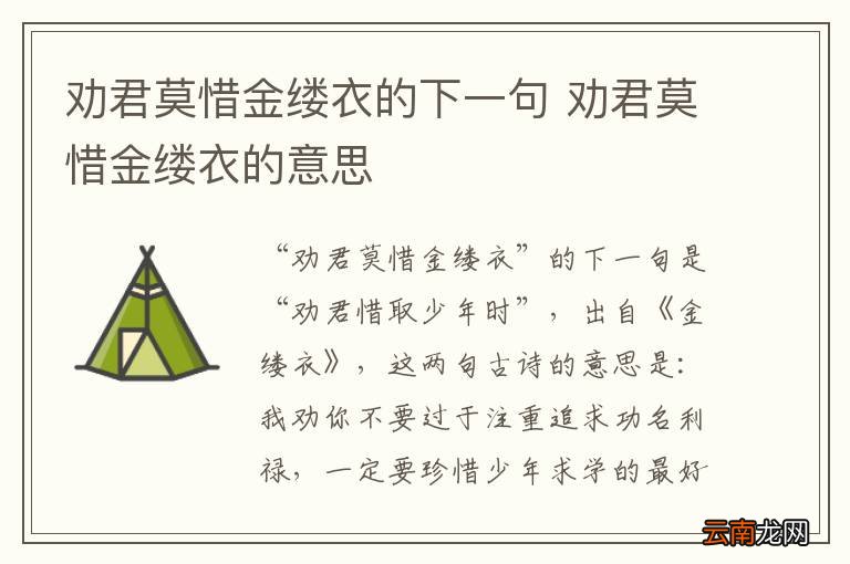 劝君莫惜金缕衣的下一句 劝君莫惜金缕衣的意思