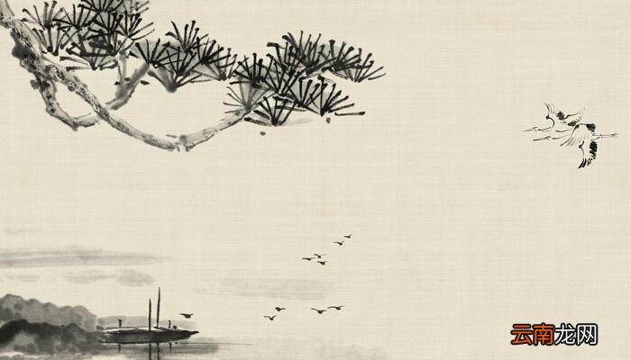 劝君莫惜金缕衣的下一句 劝君莫惜金缕衣的意思