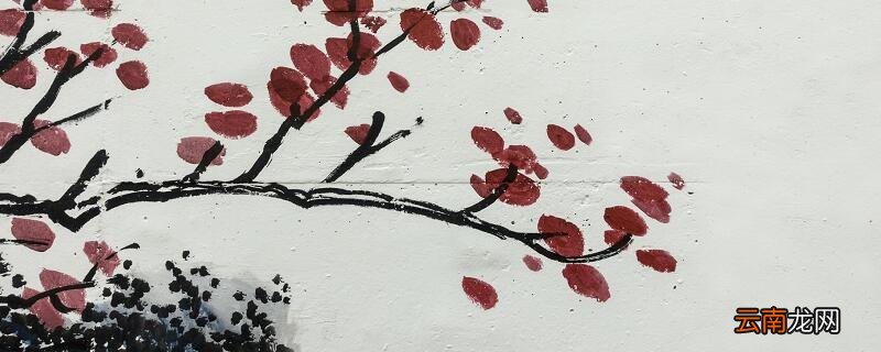 劝君莫惜金缕衣的下一句 劝君莫惜金缕衣的意思