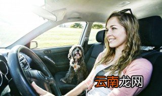 途昂的方向盘能调轻重吗 途昂方向盘怎么调高低