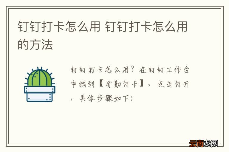 钉钉打卡怎么用 钉钉打卡怎么用的方法