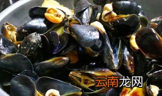 买回来的海虹怎么存放 买回家的海虹存放方法