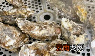 牡蛎煮多长时间 牡蛎煮多长时间可以吃