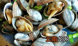 白蛤煮多长时间 白蛤煮多长时间能熟
