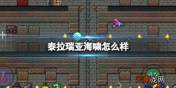 泰拉瑞亚海啸怎么样 泰拉瑞亚海啸图鉴介绍