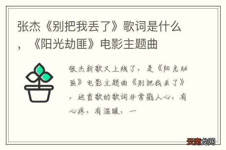 张杰《别把我丢了》歌词是什么，《阳光劫匪》电影主题曲