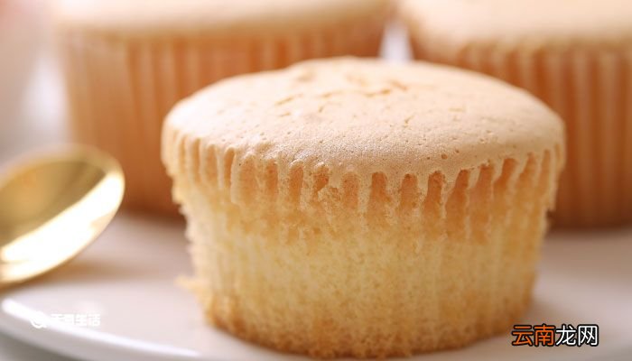 一磅等于多少克 一磅等于多少克多少斤