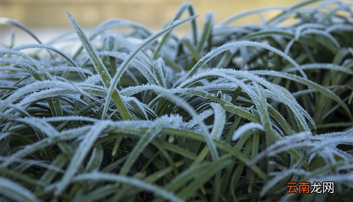 霜降吃什么 霜降吃的食物