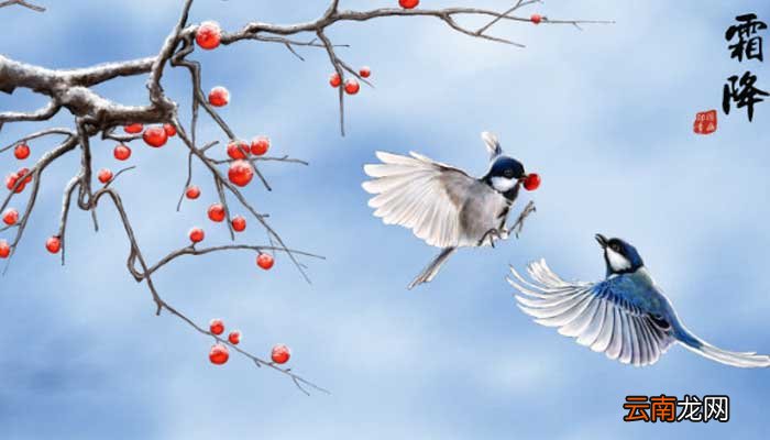 霜降吃什么 霜降吃的食物